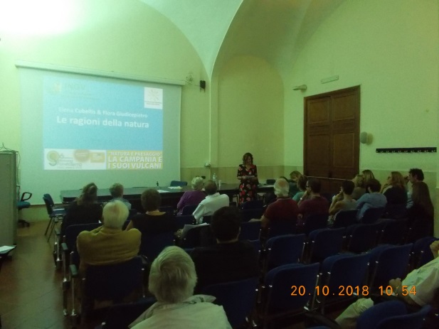 figura 6_pizzofalcone