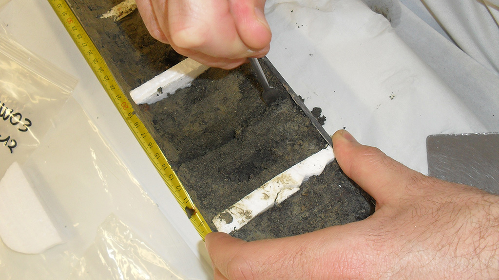 figura 4_Campionamento carota