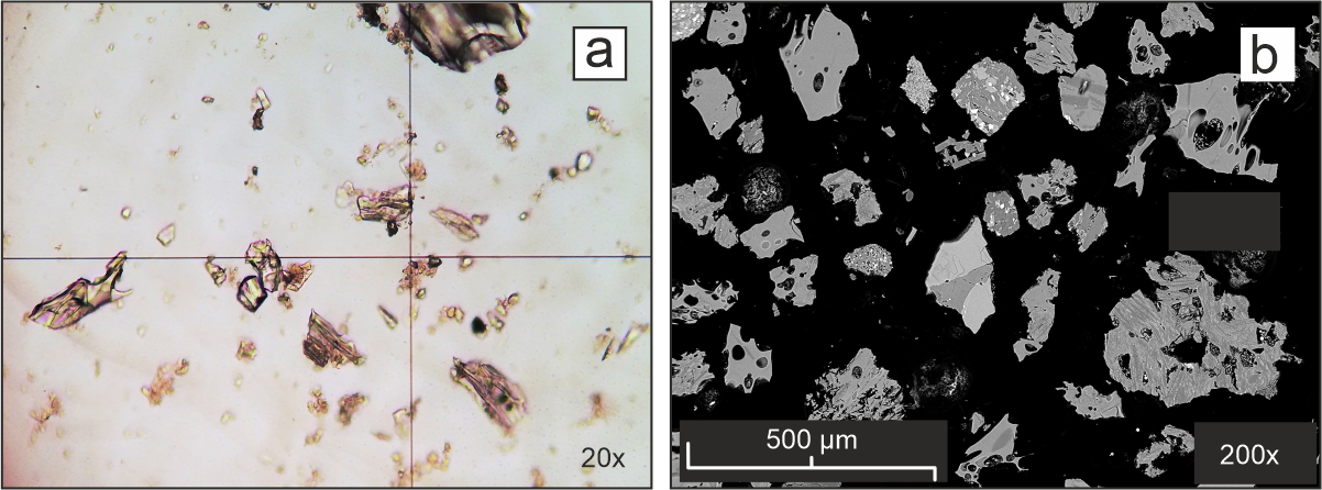 figura 5_Foto microsc ottico + SEM