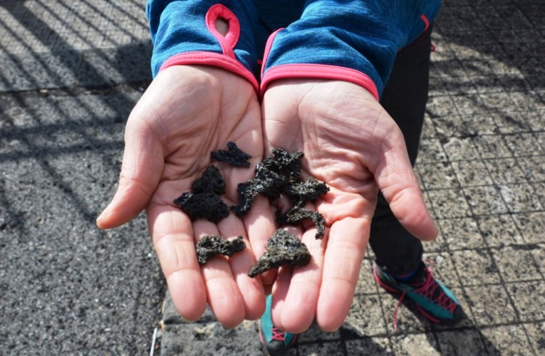 Lapilli e ceneri: il magma primitivo dell’Etna non ha segreti