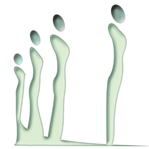 L’INGV celebra la Giornata Internazionale delle donne e delle ragazze nella Scienza