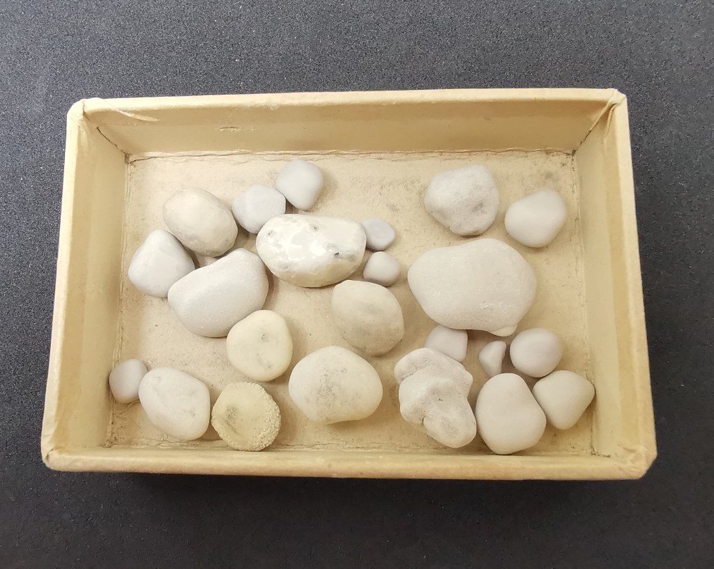 Figura 5 - Pisoliti carbonatiche dalle forme più o meno arrotondate, dimensione massima 3 cm.