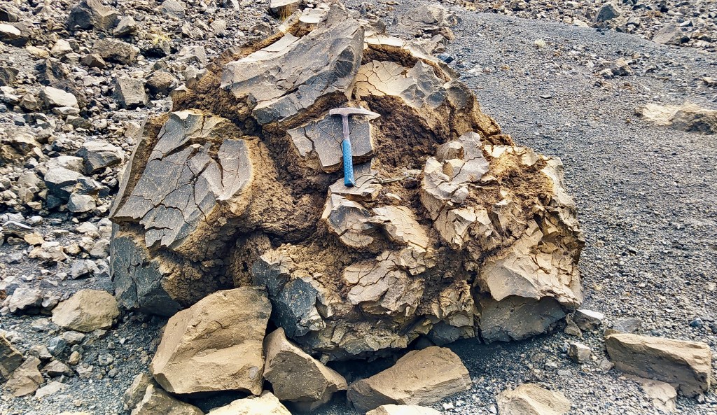 Figura 4 - Una tipica bomba a crosta di pane (G. De Astis, La Fossa di Vulcano - 2021).