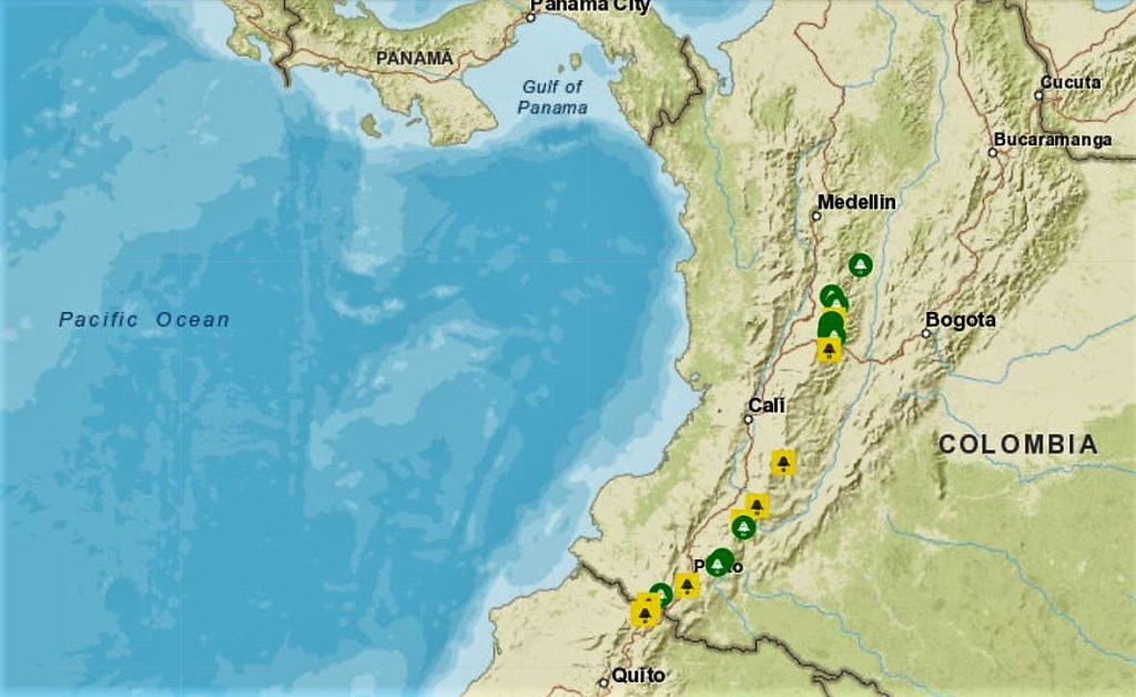Figura 2- Mappa dei 21 vulcani attivi della Colombia, dal  Servicio Geológico Colombiano. Il Nevado del Ruiz è il quarto a partire da Nord. I colori indicano lo stato di attività del vulcano: verde=  parametri monitorati stabili, giallo= alcune variazioni nei parametri monitorati.
