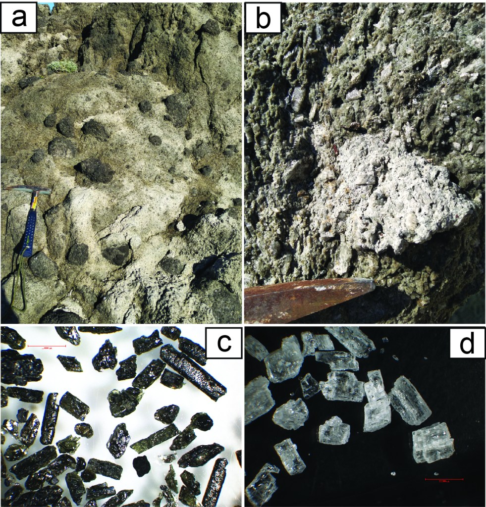 Figura 1 – a. Fotografia dei depositi vulcanici eruttati dal complesso lavico di Zaro, isola d’Ischia. Da Pelullo et al. (2020). b. Rocce appartenenti al complesso lavico di Zaro con cristalli di feldspato ben visibili. c. Cristalli di pirosseno e d. cristalli di feldspato estratti dalle rocce del complesso lavico di Zaro visti al microscopio ottico. Fotografie di Carlo Pelullo.