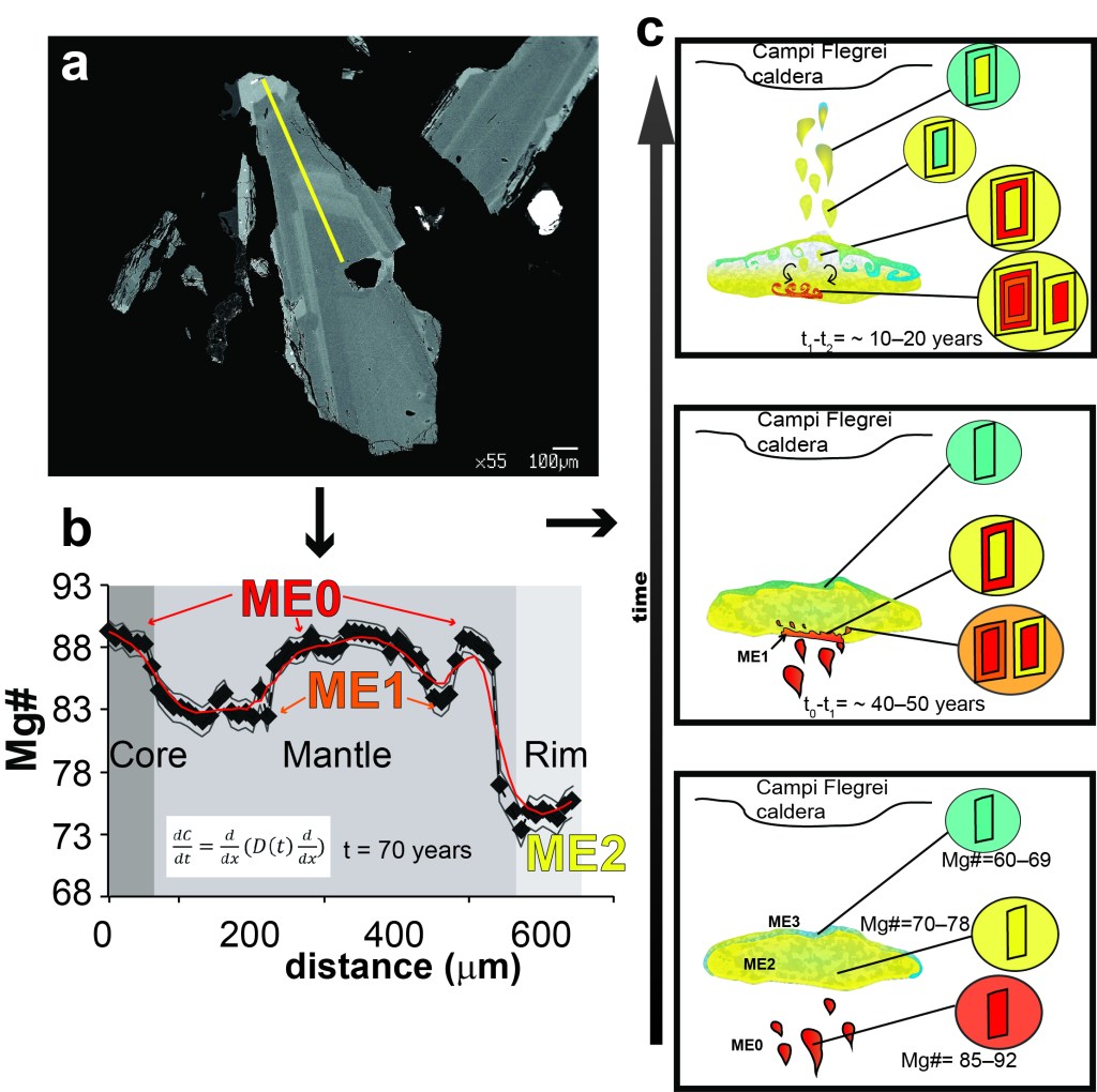 Figura 3 – a. Immagine al microscopio elettronico a scansione di un cristallo di pirosseno zonato appartenente ai prodotti vulcanici dell’eruzione di Agnano Monte-Spina, Campi Flegrei. b. Profilo composizionale dal centro al bordo del cristallo mostrato in Figura 3a con modello di diffusione applicato alla sua zonatura. c. Rappresentazione schematica dei processi magmatici. Da Pelullo et al. (2022).