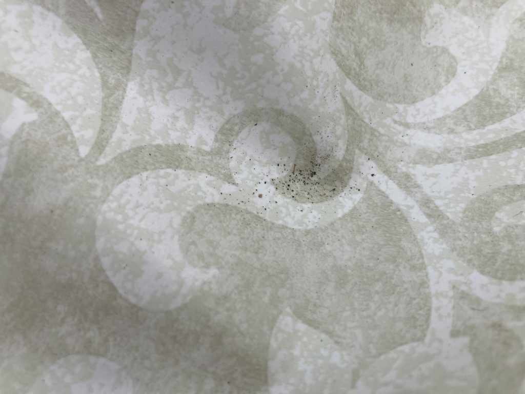 Figura 8 - Cenere depositata a Ginostra - 25 maggio 2023.